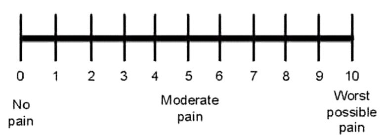 Figure 1.jpg